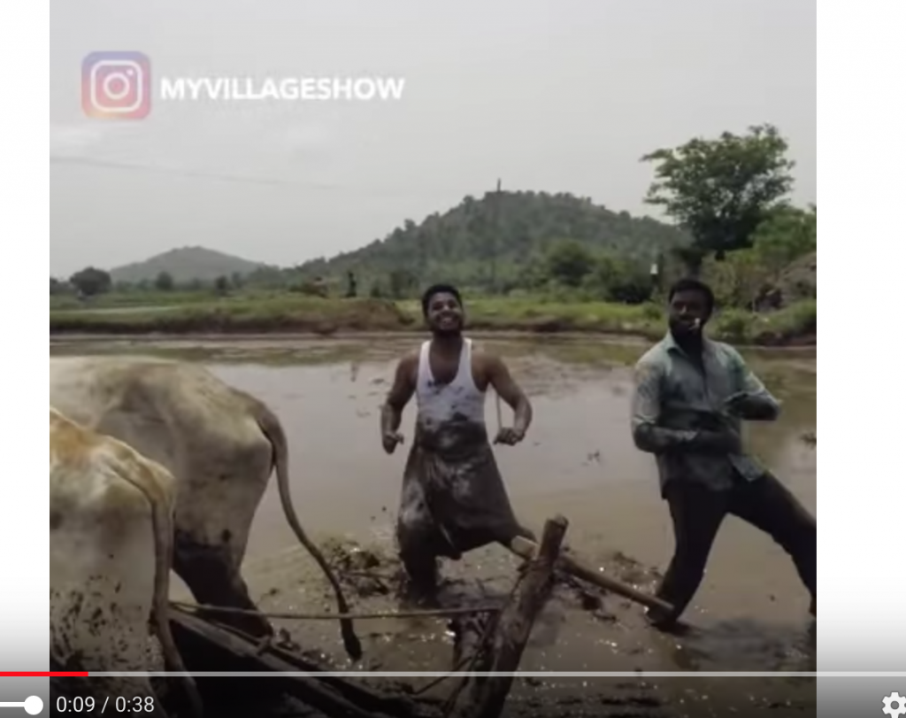 仕事しろ！インドユーチューバーの本気！農作業中突如踊りだす「キキチャレンジ」なる動画が世界中で流行りだす