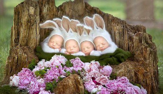 【衝撃的に可愛い画像多数】森の動物たちのコスプレをした一卵性の4つ子ちゃんたちが可愛すぎる