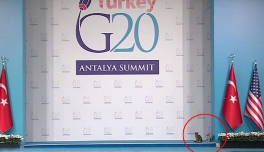 【許した】厳戒態勢であるはずの「G20」で侵入者！世界が騒然となる！