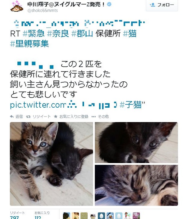 中川翔子さん 保健所に連れて行くなっ と子猫を保健所に送った一般人に激怒し炎上 秒刊sunday