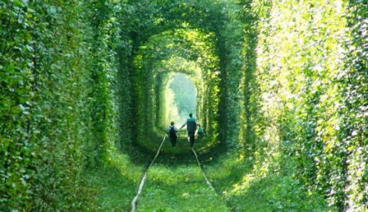 死ぬ前に通りたいジブリの世界のような『愛のトンネル』が驚愕の美しさ