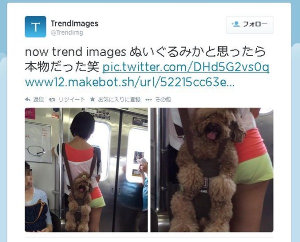電車内で犬をおんぶした写真に 虐待だ と批判殺到 市販品だった 秒刊sunday