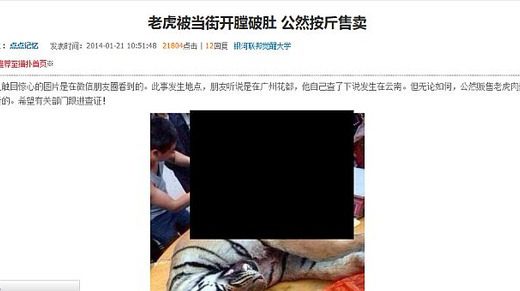中国のウェイボ―で「トラ」を食肉として販売する衝撃写真が出回る