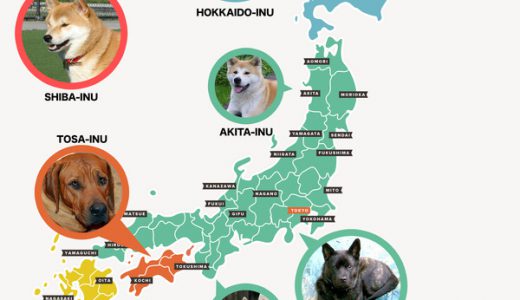 良く判る日本の犬の犬種と生息地MAPまとめ