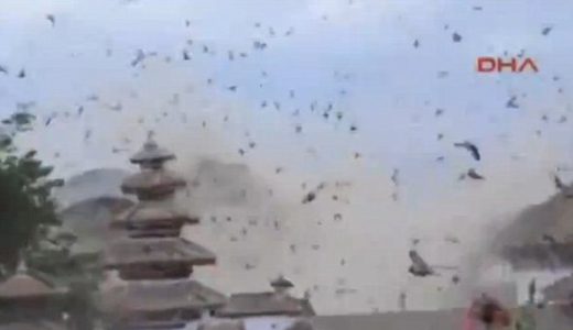 【動画】これは不気味！ネパール地震時に鳥が大騒ぎをしているのが目撃される！