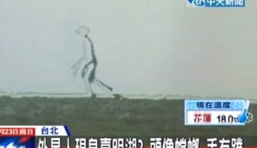【使徒襲来】台湾でついに２．５メートルの謎のカマキリ人間の撮影に成功したと話題に！