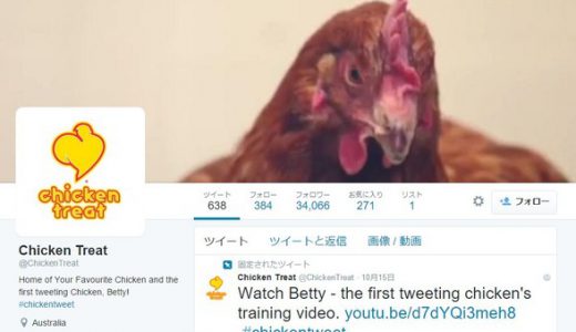 これは凄い！本物の「鶏」が実際にツイッターでツイート！かわいそうだと炎上
