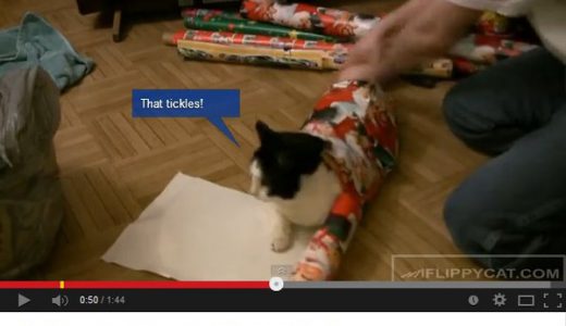 猫を『クリスマス仕様』にしてみた→「かわいそうだ」と批判殺到