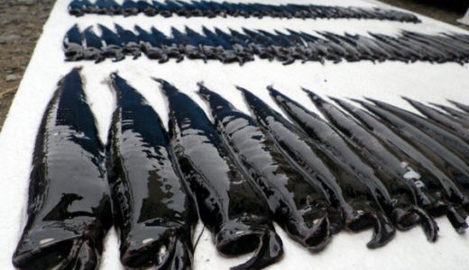 日本で大量捕獲された謎の深海魚が「プロトニウム魚だ！」と海外で騒がれる
