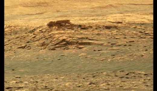【NASAピンチ】ついに火星で人っぽい複雑な生き物の遺体が発見された！【知的生命】