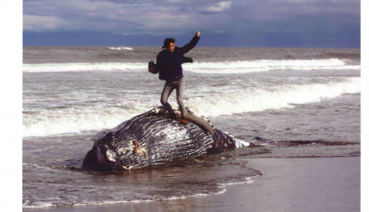 【炎上】クジラ死骸を征服してみた写真がネットで物議！生命の冒涜