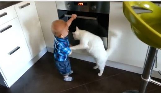 オーブンで遊ぶ赤ちゃんを「危ないにゃ！」としつけするネコが話題に