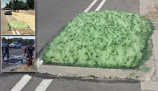 【怪奇現象】アメリカユタ州で「謎の緑泡」が突如湧き上がる現象発生！