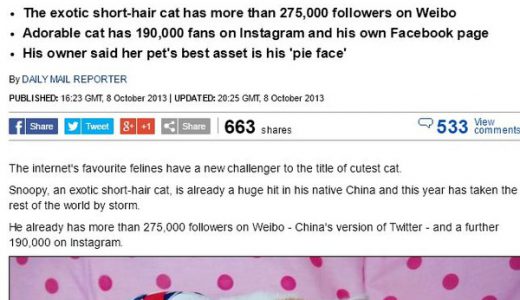 顔フラット猫「ホンシャオパン君」ついに権威あるイギリス誌DailyMailにデビュー！