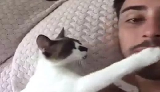 【けしからん】カワイイ猫がオッサンにチュウをせがむという、けしからん動画が話題に