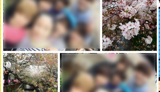 韓国アイドル「日本の桜が綺麗！」とツイート！爆発的RTを稼ぐ