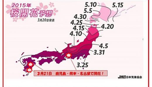 【朗報】桜の開花予測発表！今月中に関東まで桜開花