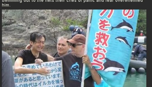 イルカ漁を行う日本人に外国人『養殖でやれ』の声