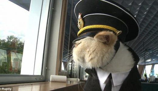 【恐ロシア】マジかよ！ロシア、ネコが船長になる。