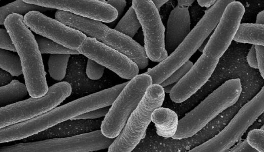 【注意】地下鉄ヤバイ！大腸菌など９種類の危険な細菌が発見される！