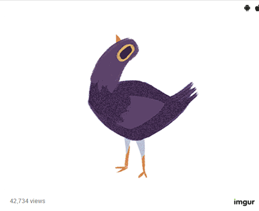 人気爆発 この紫の鳥がアメリカのｓｎｓで大流行 一体どんな意味が 秒刊sunday
