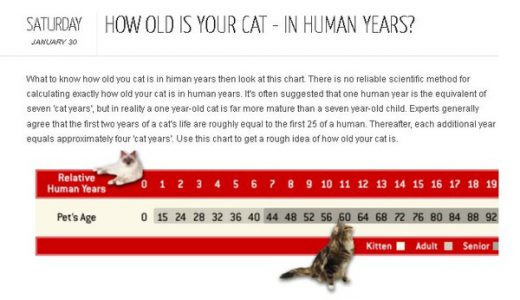 【保存決定】ネコの年齢を人間に直す「ネコ年齢チャート」が便利