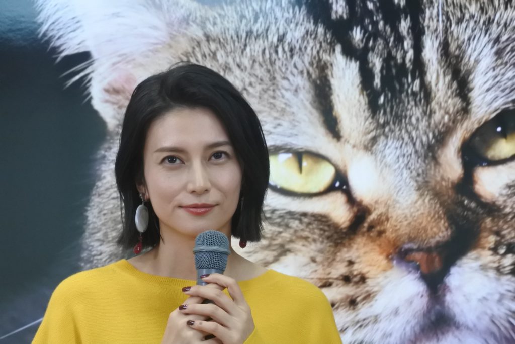 ネコ好き女優「柴咲コウ」映画「ねことじいちゃん」公開記念写真展に登場！両方かわいすぎるぅ！