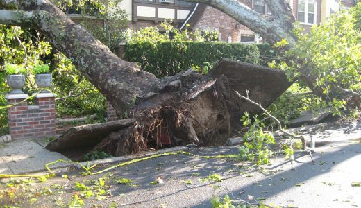 日本ヤバい！延岡で竜巻が発生しとんでもない被害に！