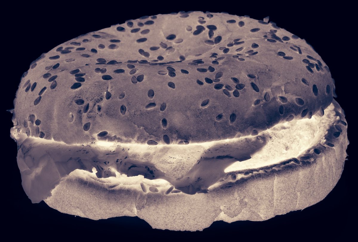 バーガーキング、３４日間腐らせたハンバーガー仰天映像を公開、ヤバ過ぎると話題