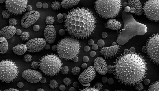それ花粉症ではなく隠れコロナかも。無視してはならない６つのコロナ症状