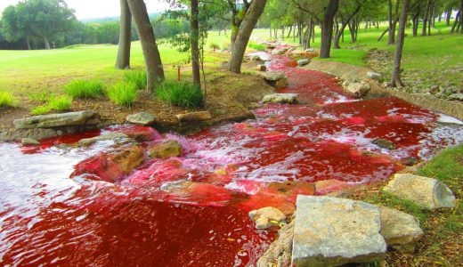 食肉処理場近くで川が血のように真っ赤に染まる不気味な現象が話題に