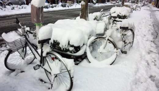 名古屋市内の雪がヤバい！国道23号線が通行止めで地獄絵図と話題に