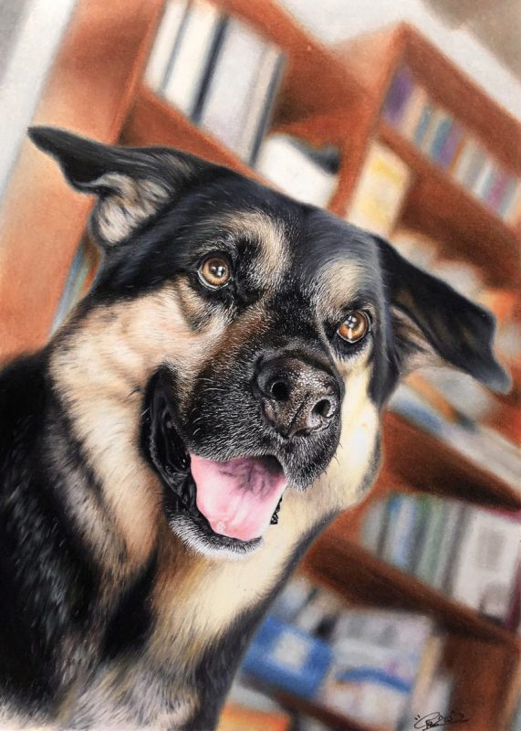 これは騙される！写真にしか見えない色鉛筆画の犬がすごすぎる！ | 秒刊SUNDAY