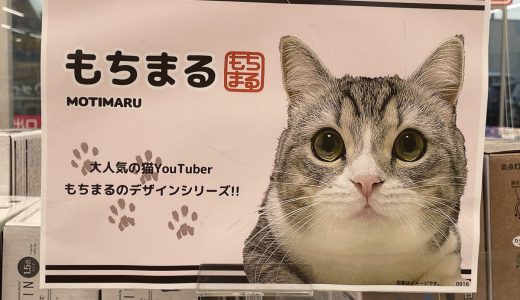 YouTubeで6億回視聴された猫「もちまる」のダイソーグッズが人気爆発中！