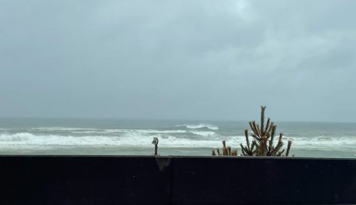 台風直撃の静岡でも「サーフィンしている人いる説」実際に見に行ってきた結果……