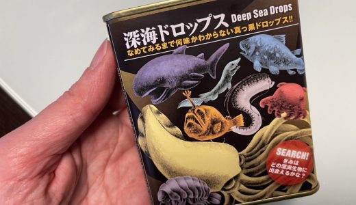 なめるまで味がわからない「深海ドロップス」を購入、なめて味を確認してみた！