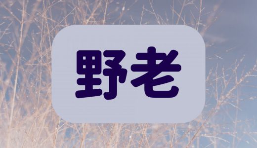 「野老」は何と読む？読めたらすごい！冬に関する超難読漢字5選