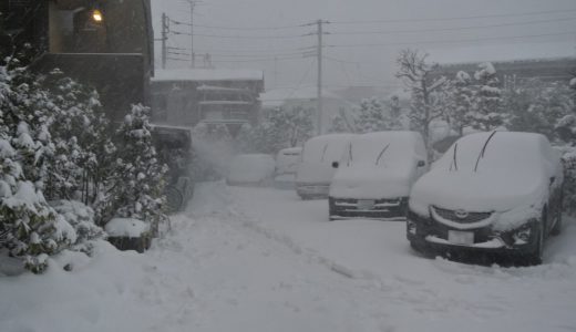 最強寒波で静岡県民「雪が降った！」と盛り上がる事態に