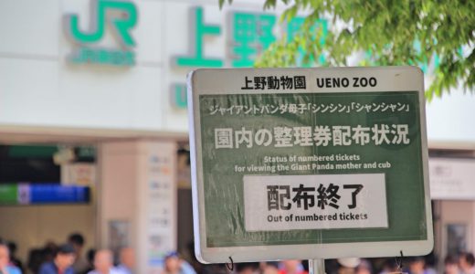 シャンシャン、機内での様子を上野動物園が公開「落ち着いた様子」に安堵の声