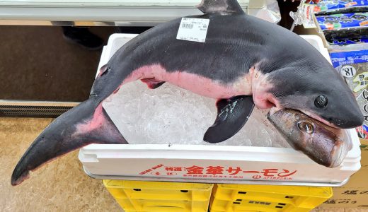 驚愕「獲物をくわえたままのサメ」を販売している店がハンパないと大反響！