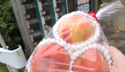 おいしい桃を安く買うのなら、産地の自販機で買えばいい！福島の桃はマジでウマいぞ！