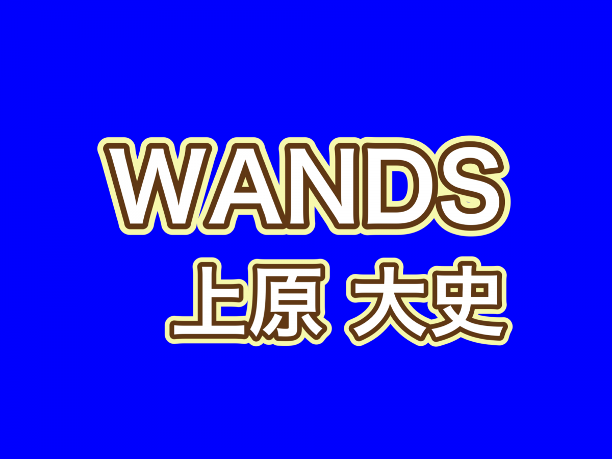 WANDS