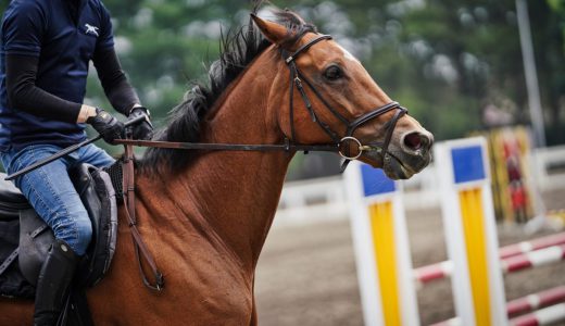 パリ五輪で銅メダル獲得・馬術「初老ジャパン」が話題に！「誰が名付けた？」「パワーワード過ぎるだろ！」