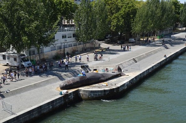 50-foot-fake-whale-seen-beached-on-banks-of-Seine-River-in-Paris