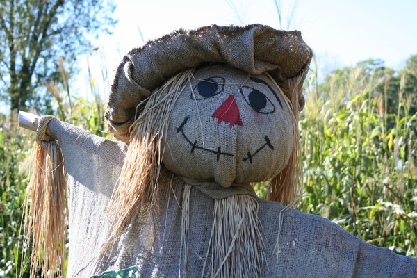 scarecrow-1714851_1920
