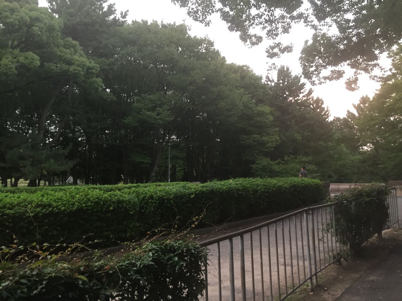 ポケgo ミニリューが沸く 名古屋城のお堀 に行ってきた 秒刊sunday