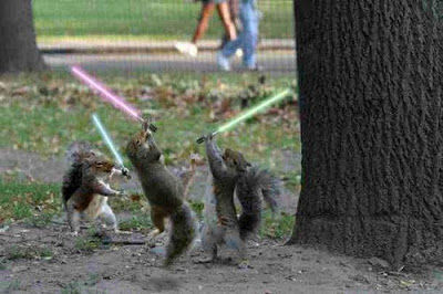 jedi_squirrels_with_lightsabers