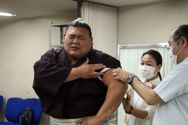 悲報 日本の 相撲力士 お注射で泣く様子が世界中で報道される 秒刊sunday
