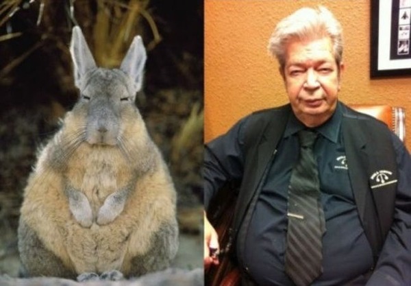 the-old-man-from-pawn-stars-and-this-rabbit-all-people-photo-u1