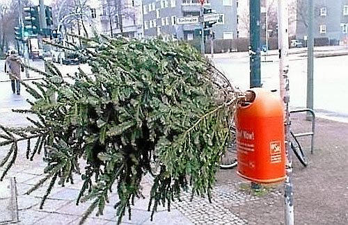 無茶苦茶や ドイツにて クリスマスツリー用のモミの木を地下鉄のごみ箱に突っ込んだ強者がいた 秒刊sunday